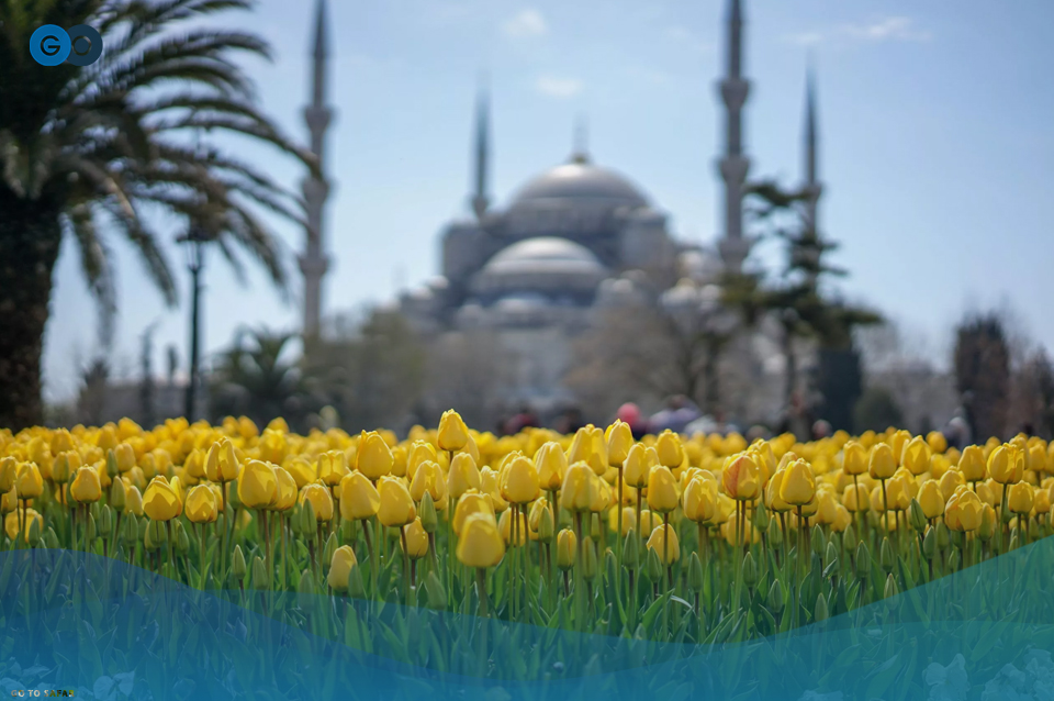 جشنواره بین المللی گل لاله در استانبول